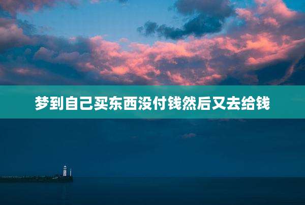 梦到自己买东西没付钱然后又去给钱