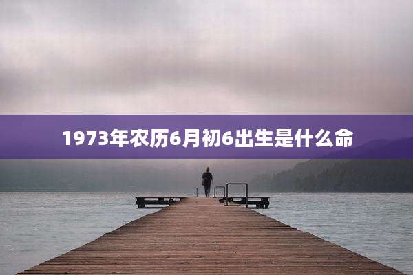 1973年农历6月初6出生是什么命