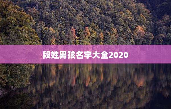 段姓男孩名字大全2020