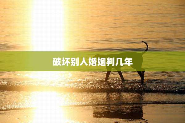 破坏别人婚姻判几年