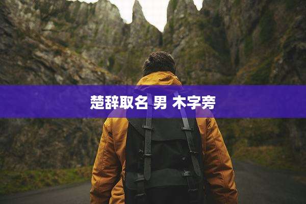 楚辞取名 男 木字旁