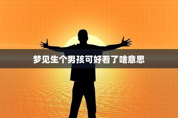 梦见生个男孩可好看了啥意思