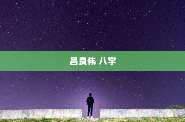 吕良伟 八字