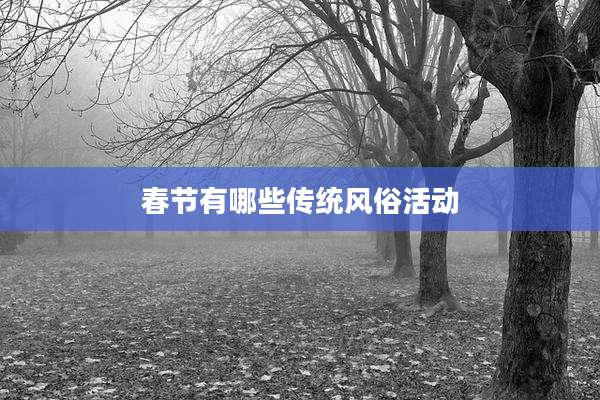 春节有哪些传统风俗活动