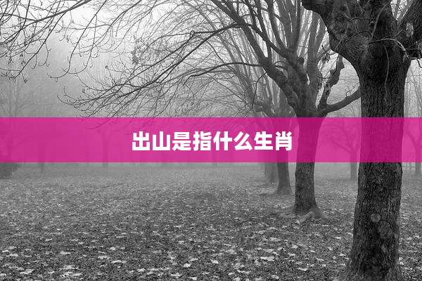 出山是指什么生肖