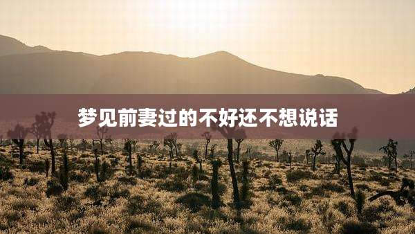 梦见前妻过的不好还不想说话