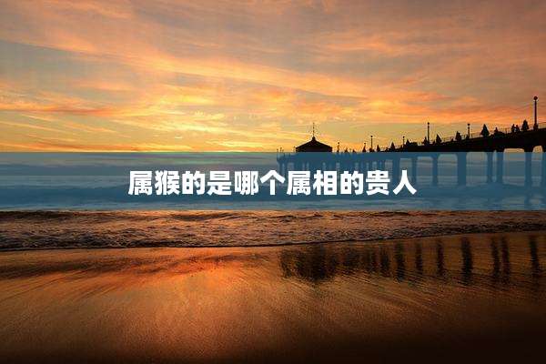 属猴的是哪个属相的贵人