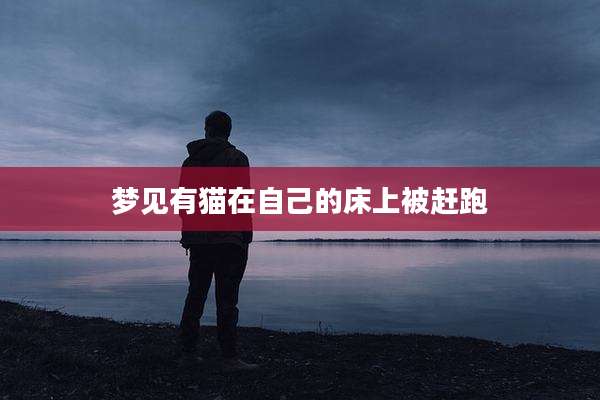 梦见有猫在自己的床上被赶跑
