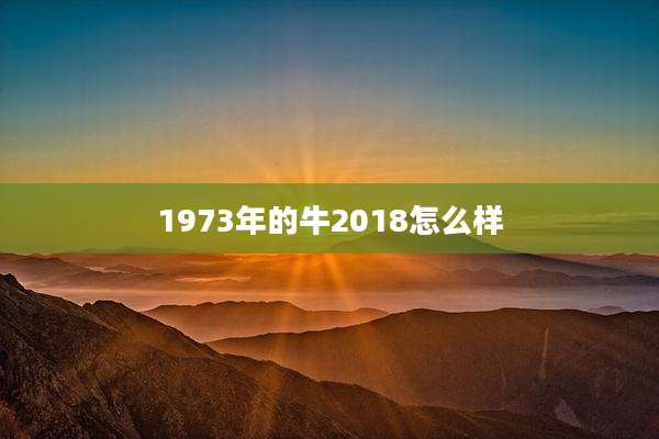 1973年的牛2018怎么样