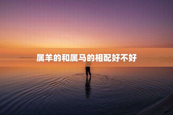 属羊的和属马的相配好不好