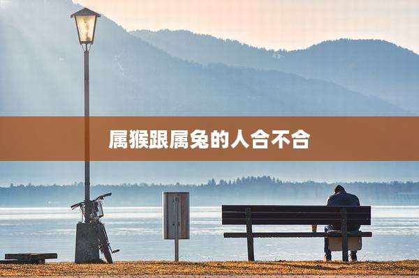 属猴跟属兔的人合不合