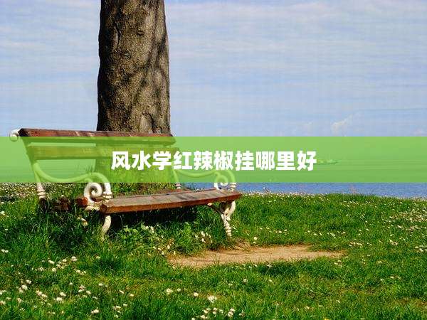 风水学红辣椒挂哪里好