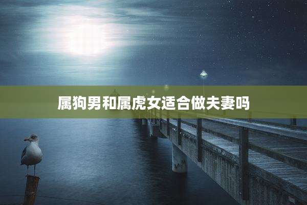 属狗男和属虎女适合做夫妻吗