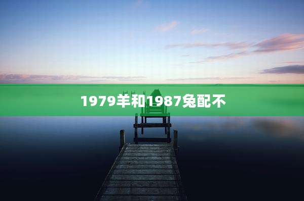 1979羊和1987兔配不