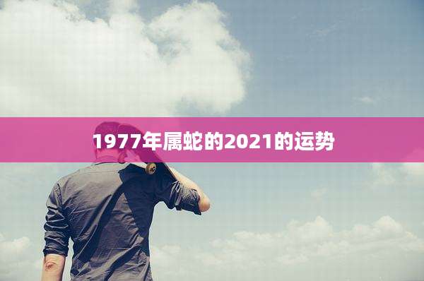 1977年属蛇的2021的运势
