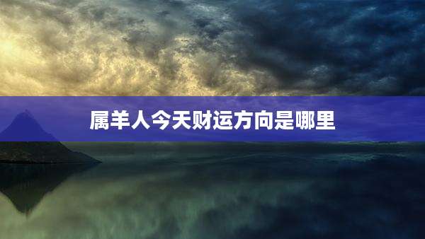 属羊人今天财运方向是哪里