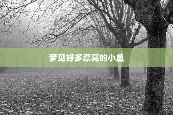 梦见好多漂亮的小鱼