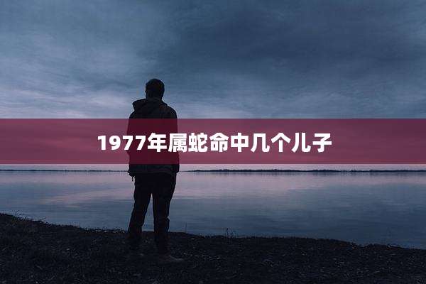 1977年属蛇命中几个儿子
