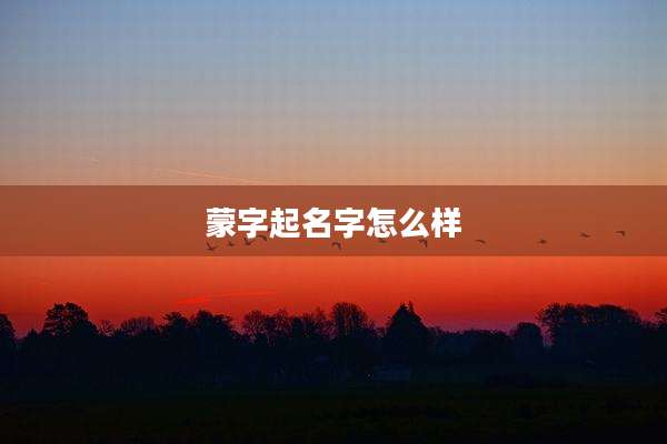 蒙字起名字怎么样