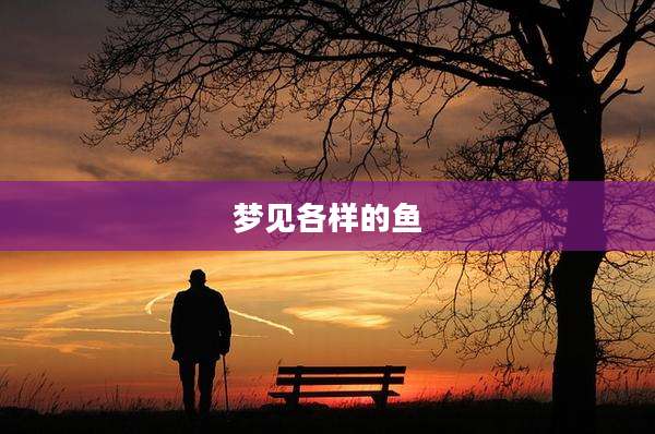 梦见各样的鱼