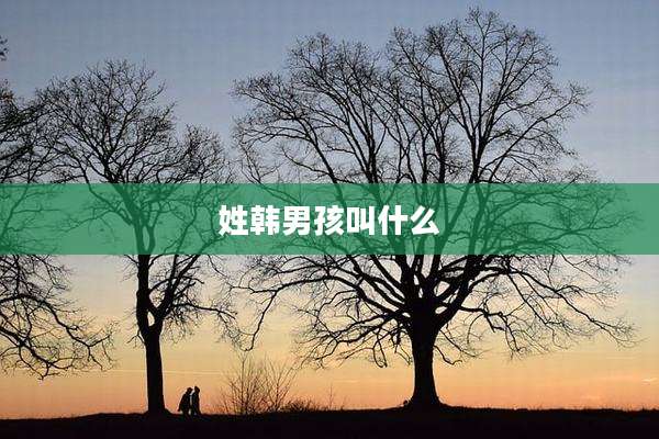 姓韩男孩叫什么