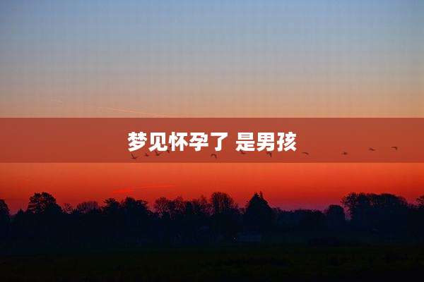 梦见怀孕了 是男孩