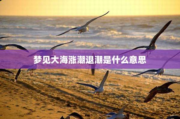 梦见大海涨潮退潮是什么意思