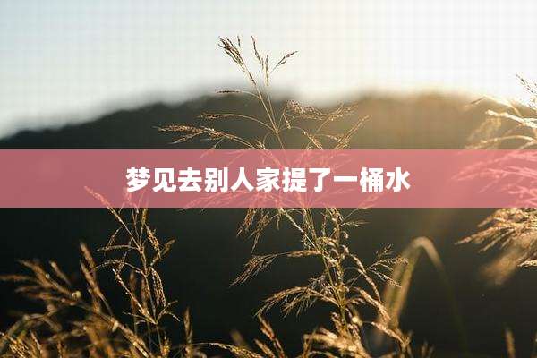 梦见去别人家提了一桶水