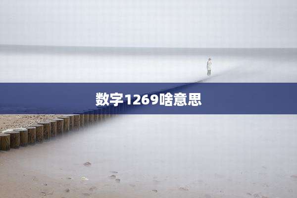 数字1269啥意思