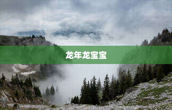 龙年龙宝宝
