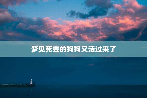 梦见死去的狗狗又活过来了