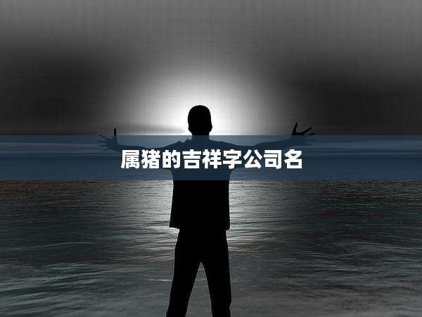 属猪的吉祥字公司名