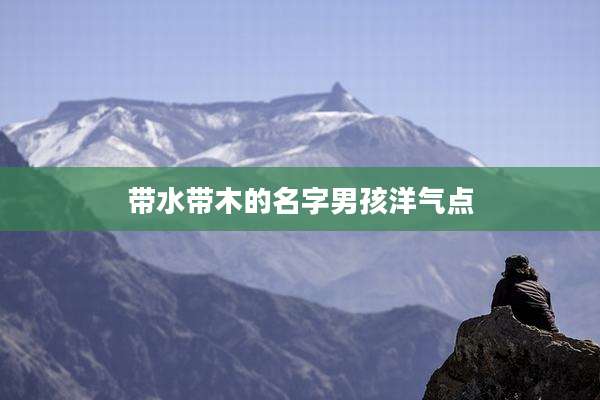 带水带木的名字男孩洋气点