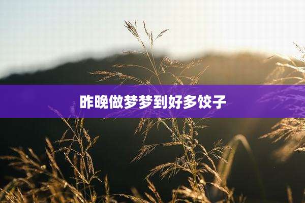 昨晚做梦梦到好多饺子