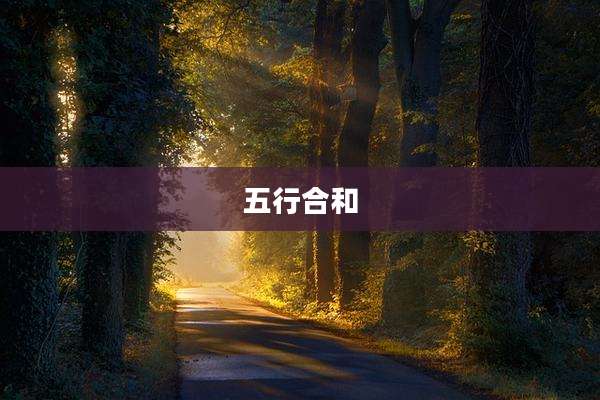五行合和