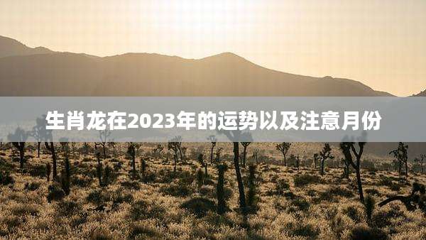 生肖龙在2023年的运势以及注意月份