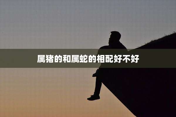 属猪的和属蛇的相配好不好