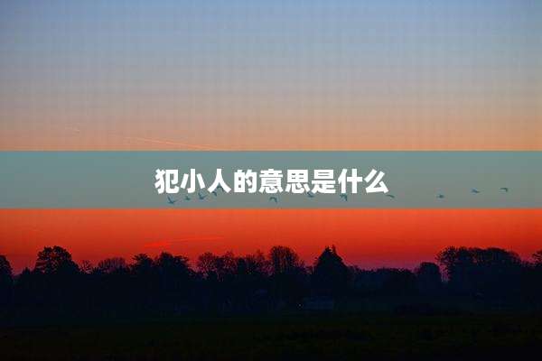 犯小人的意思是什么