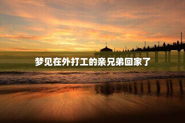 梦见在外打工的亲兄弟回家了