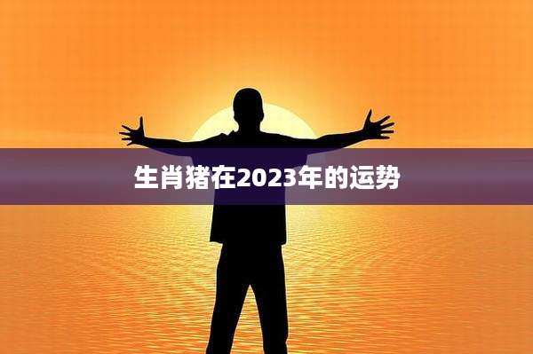 生肖猪在2023年的运势
