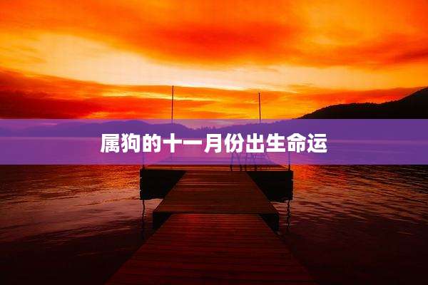 属狗的十一月份出生命运