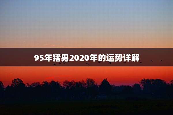 95年猪男2020年的运势详解
