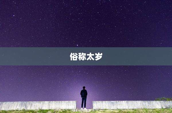 俗称太岁