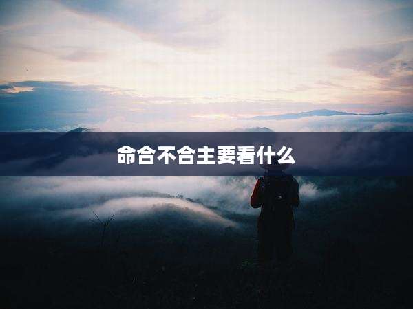 命合不合主要看什么
