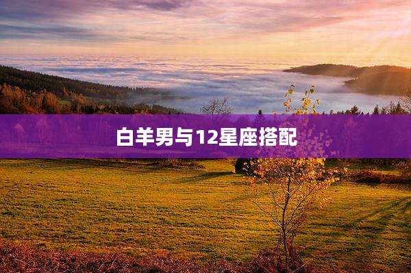 白羊男与12星座搭配