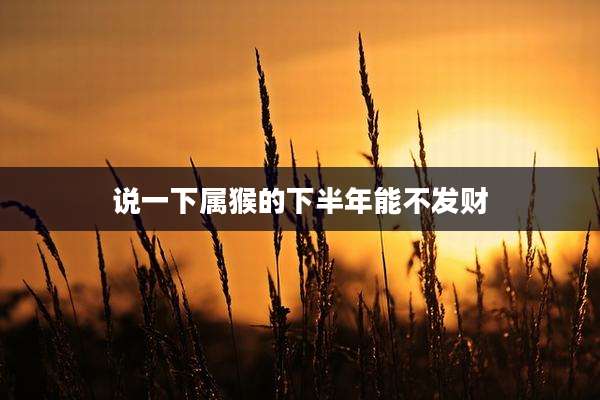 说一下属猴的下半年能不发财