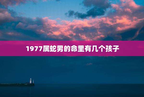 1977属蛇男的命里有几个孩子