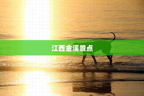 江西金溪景点