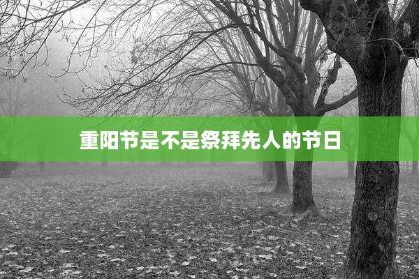 重阳节是不是祭拜先人的节日