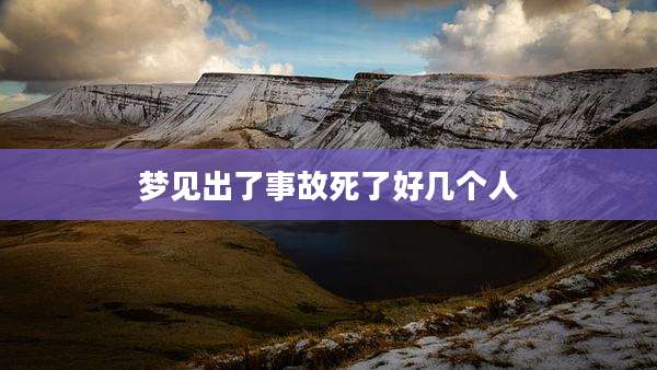 梦见出了事故死了好几个人